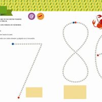 Load image into Gallery viewer, Mi primer libro de NÚMEROS