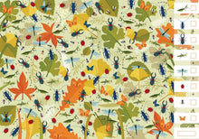 Load image into Gallery viewer, ¡MIRA, BUSCA, ENCUENTRA!