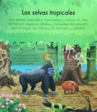 Load image into Gallery viewer, Mi primer libro sobre nuestro planeta