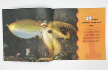 Load image into Gallery viewer, Contar en el óceano