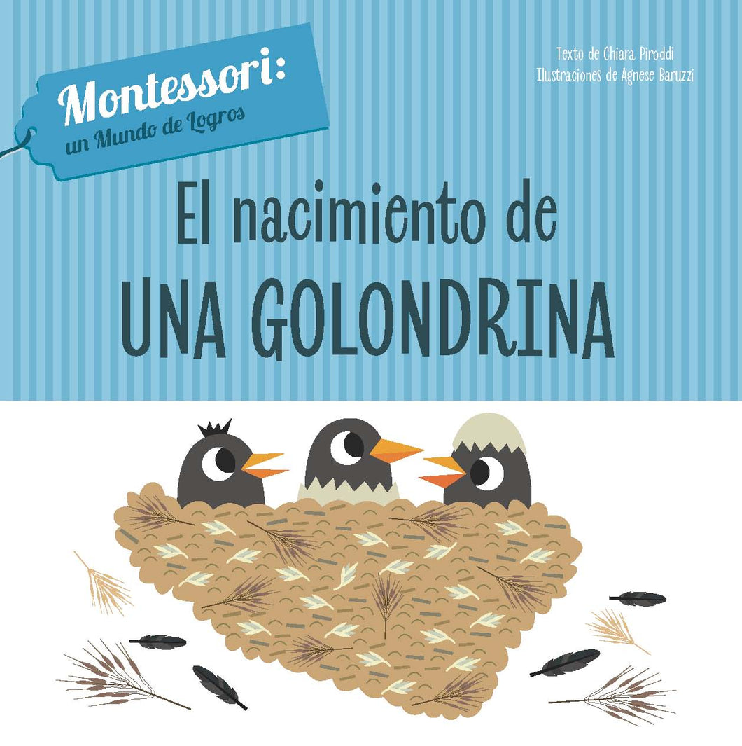 EL NACIMIENTO DE UNA GOLONDRINA (Montessori)
