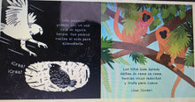 Load image into Gallery viewer, Secreetos de la selva tropical - Un libro para iluminar
